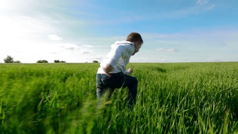 boy walking through the field. little boy on a field in the sunlight enjoying nature