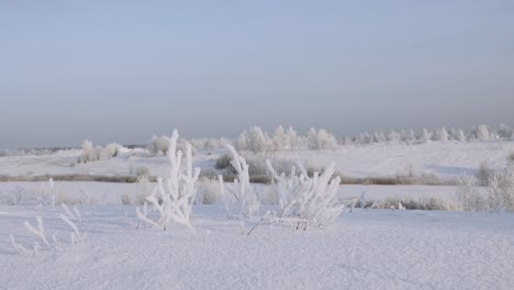 paisaje de invierno congelado