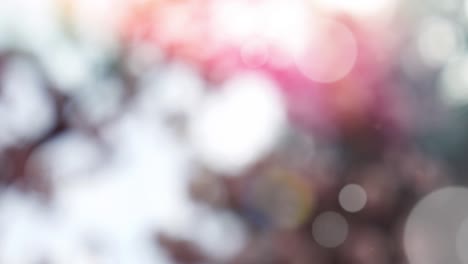 Abstract summer background with bokeh