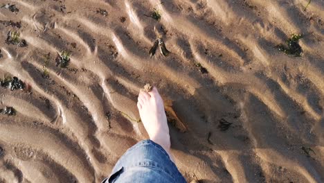 walking barefoot across the beach, with sand ripples and seaweed