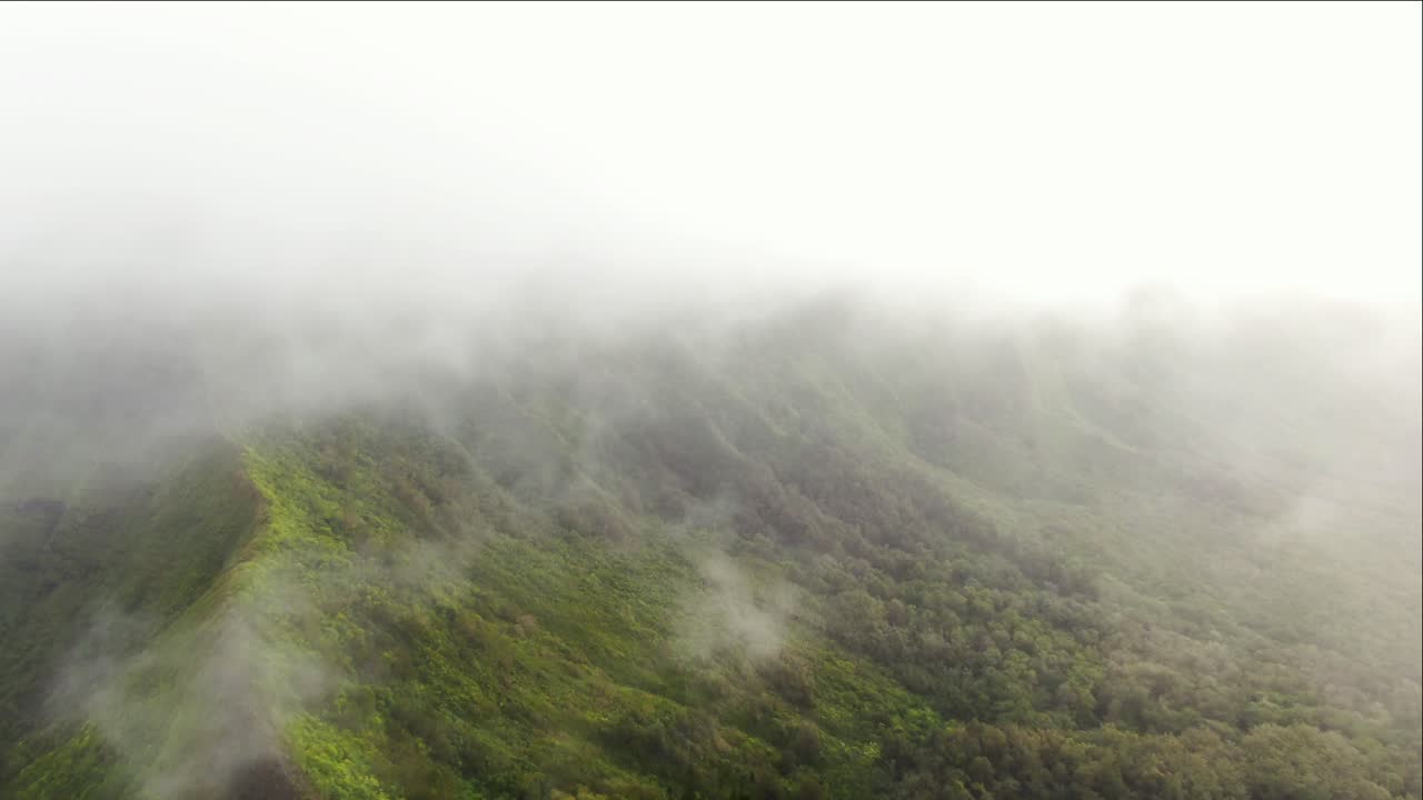descendiendo de las nubes con vistas a la cordillera oriental de oahu y al bosque lluvioso