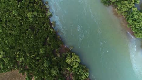 Luftaufnahme-Des-Mangrovensumpfes-In-Tansania