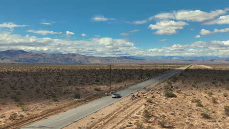 Flock-of-sheep-wonder-onto-the-road-in-the-Mojave-Desert---aerial-view