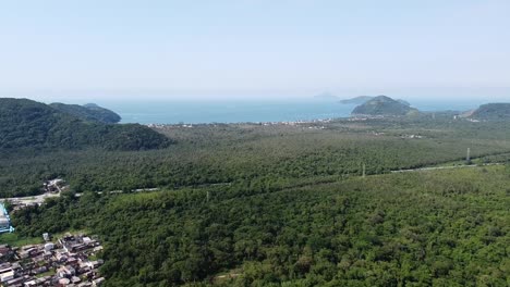 Lush-vegetation,-Cambury-beach-in-background,-Brazil