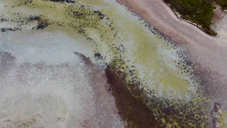 aerial top-down shot of agios mamas salt flats greece