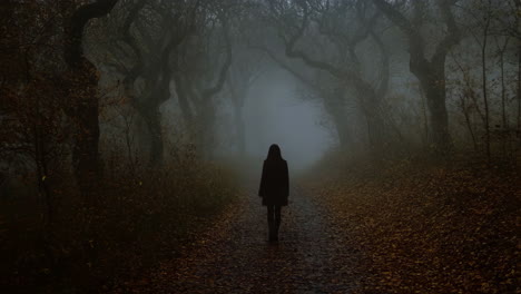 Solitary Figure Walking on a Foggy Forest Path