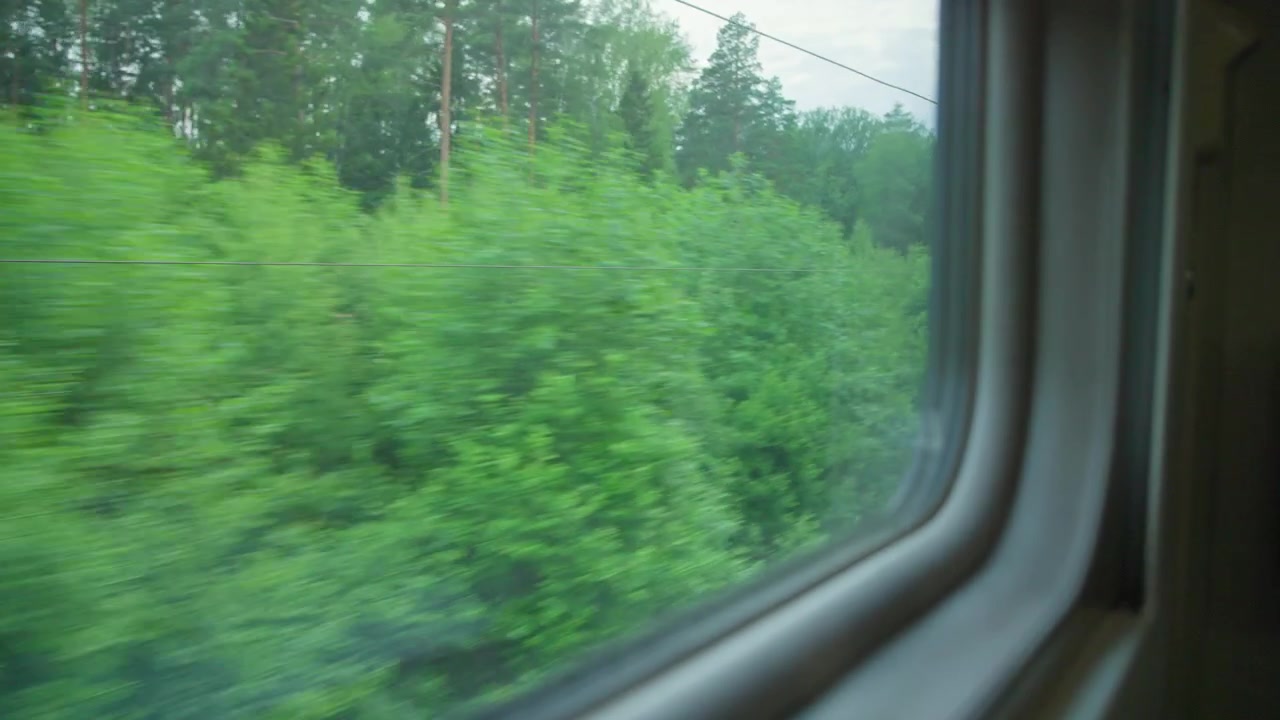 Scenic View of Green Forest from Moving Train Window