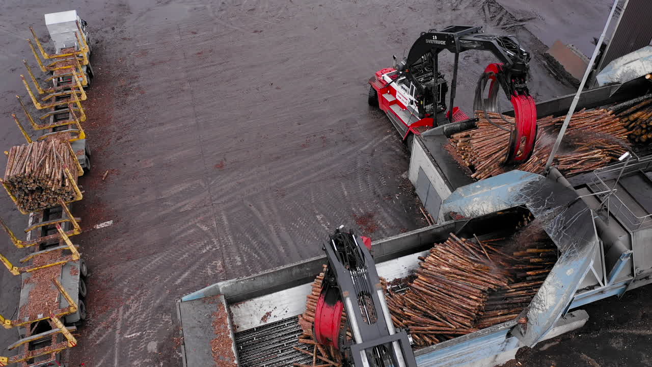 지게차 트럭 트럭 필링 나무 줄기 on 디딜 방아 목재 절단 밀 체인 톱 절단 재목 재목 산업 운전 작업 산업 제조 종이 대량 자산 재료 인쇄 글로벌 배송