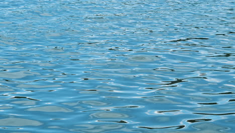 rippled water surface