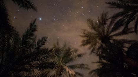 desert stars 02