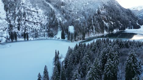 Obersee-Glarus-Suiza-Vista-Del-Lago-Desde-Un-Poco-Más-Del-Bosque