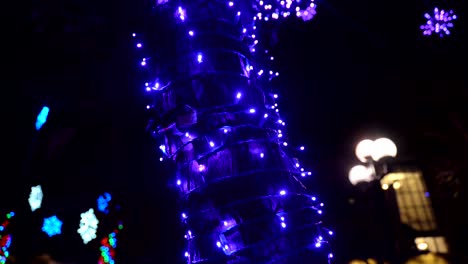 tilting footage of holiday lights decoration on a tree