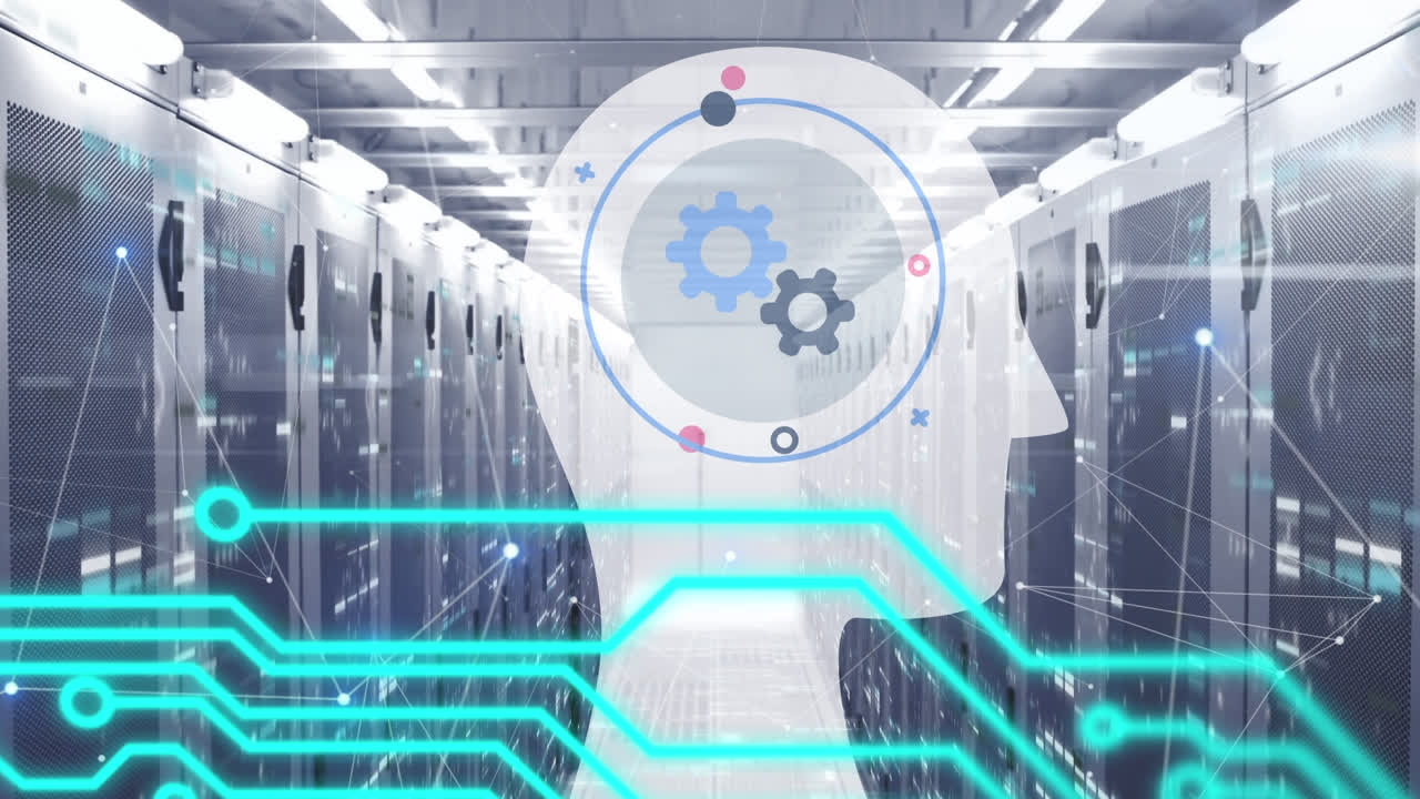 과 연결 네트워크를 가진 머리의 애니메이션과 서버 을 통해