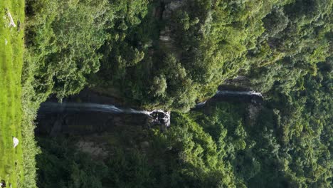 clip vertical de una hermosa gran cascada en el vecindario de puichig, cantón de mejia, provincia de pichincha, ecuador