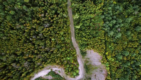 vista aérea del serpenteante río de la selva en un denso bosque vibrante con acantilado erosionado, seaton