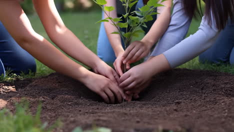 planting a tree together