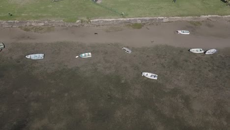 Black-dog-runs-along-beach-of-old-wooden-dories-at-low-tide,-Knysna-aerial