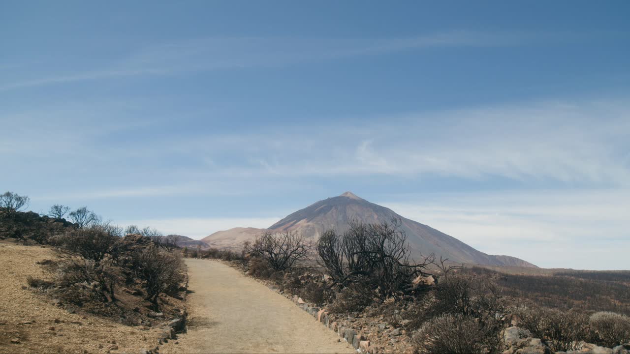 parque natural corona forestal en tenerife, las islas canarias