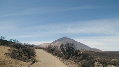 Parque-Natural-Corona-Forestal-in-Tenerife,-Canary-Islands