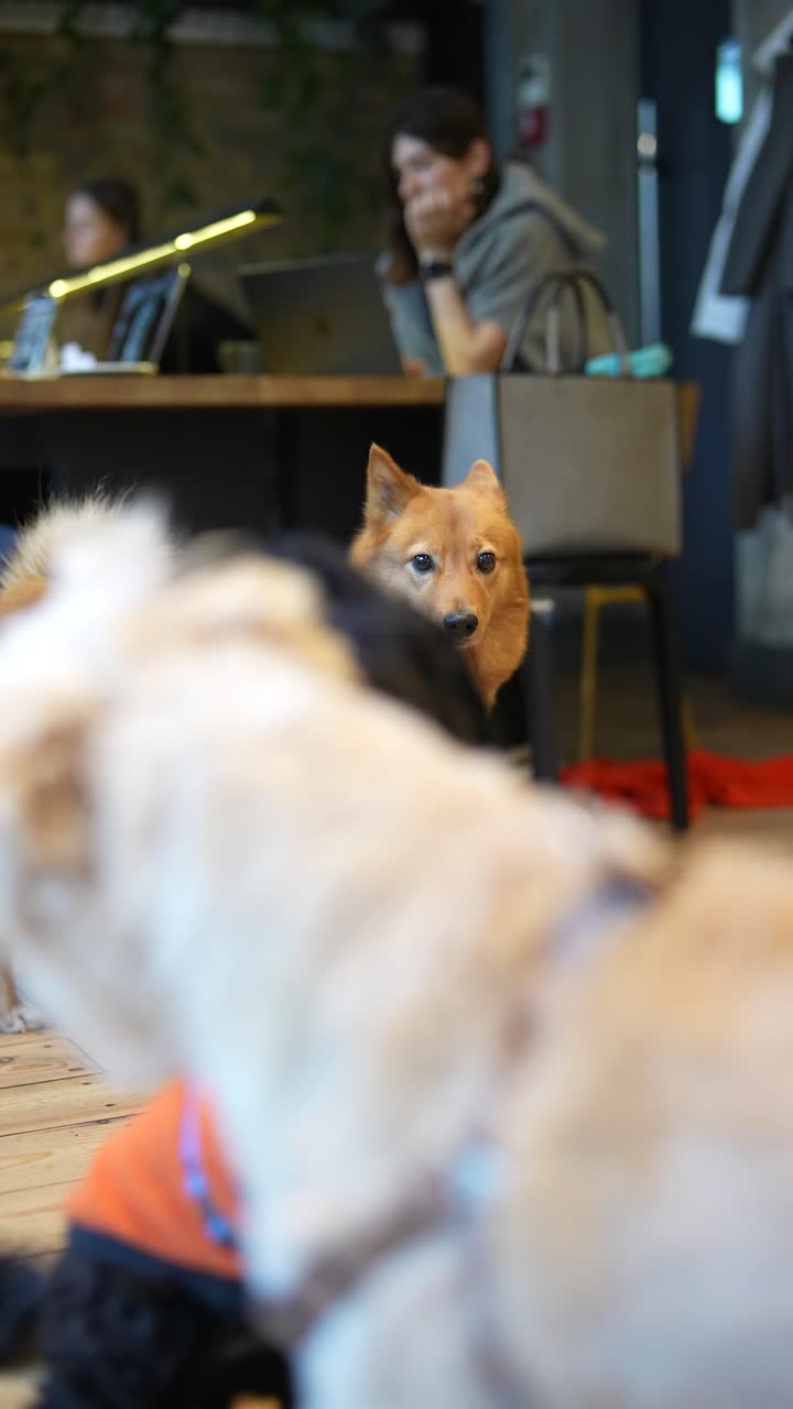 커피에 있는 개