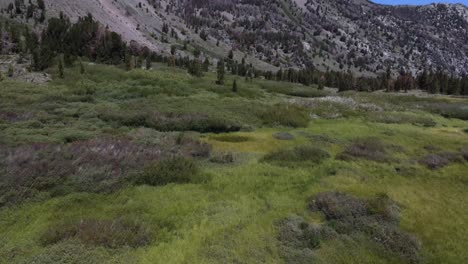 Aerial-shot-revealing-a-towering-mountaintop-from-a-green-meadow-near-the-forest