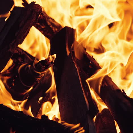 burning wood in the fireplace and the flames