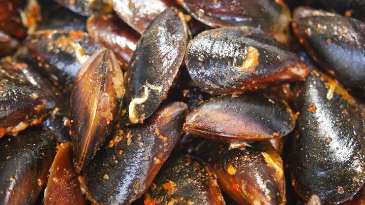 Close-up of cooked mussels with red sauce