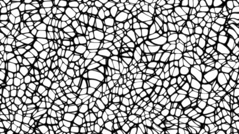 4k abstract spider web blood vein black and white loop animation background. displacement map color overlay background