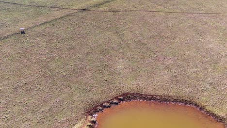 drone camera smoothly flies over a small rural pond and grassy field in glen innes, nsw, australia, under bright natural daylight with clear visibility