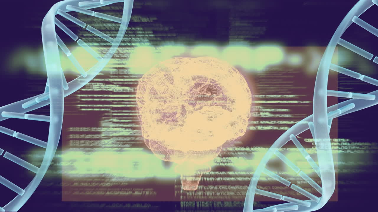 뇌의 유전적 코드의 디지털 복합체