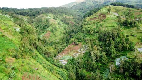 Valle-En-La-Ladera-De-La-Montaña-Con-Plantaciones-Y-árboles