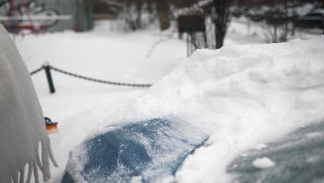 person removing snow from a car