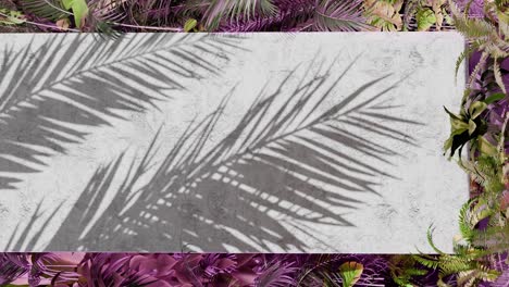 shadow of tropical palm leaves on white concrete wall with pink jungle foliage frame. nature inspired template background. summer vacation and exotic botanical concept. design for banner. vertical
