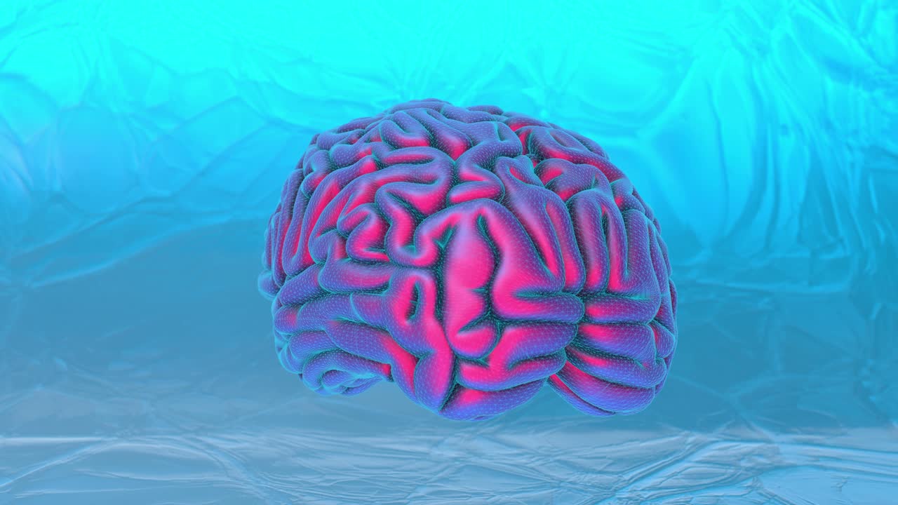 cerebro humano congelado con marco de alambre girando en 3d arte abstracto video movimiento bucle sin costuras