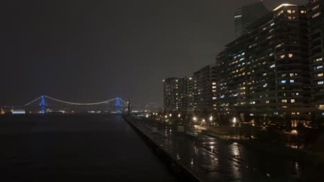 a peaceful view of illuminated buildings along the river in tokyo with snowfall