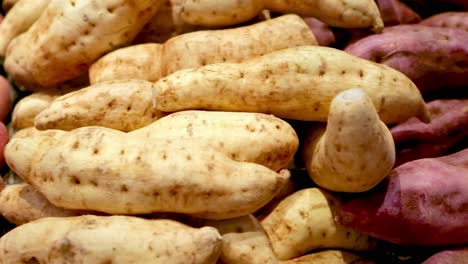 a vibrant assortment of sweet potatoes arranged in a supermarket setting, showcasing diverse colors and textures under bright lighting