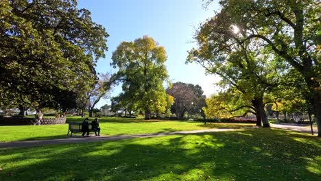 peaceful park scene with trees and benches