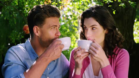 romantic couple having tea in park