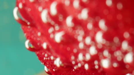 primer plano de un pétalo de flor roja con burbujas de agua