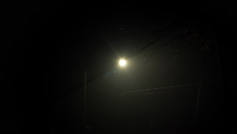 a streetlight shines through the creepy fog