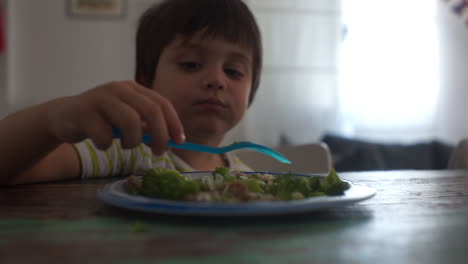 imágenes de primer plano de un niño comiendo hamburguesas de ternera y brócoli en casa