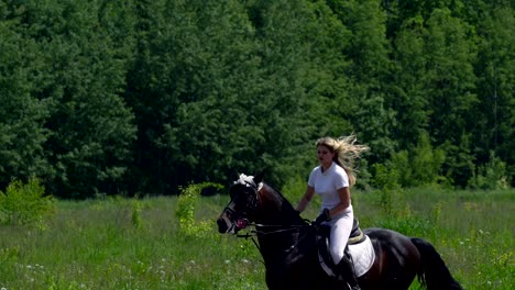 a beautiful girl in white hair and white clothes is riding a black brown stallion. the girl makes the horse perform various beautiful movements. the girl's hair develops in the wind. sunny summer day on a green glade.