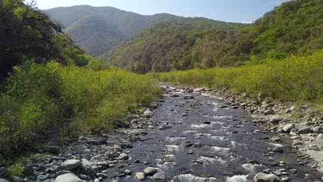 beautiful landscape in the mountain jungle in northwest argentina