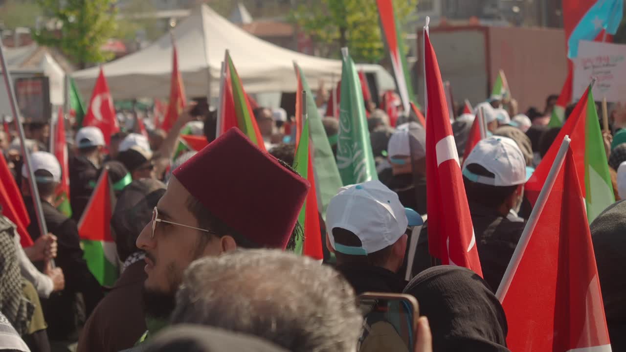 Crowd of people with flags at a rally
