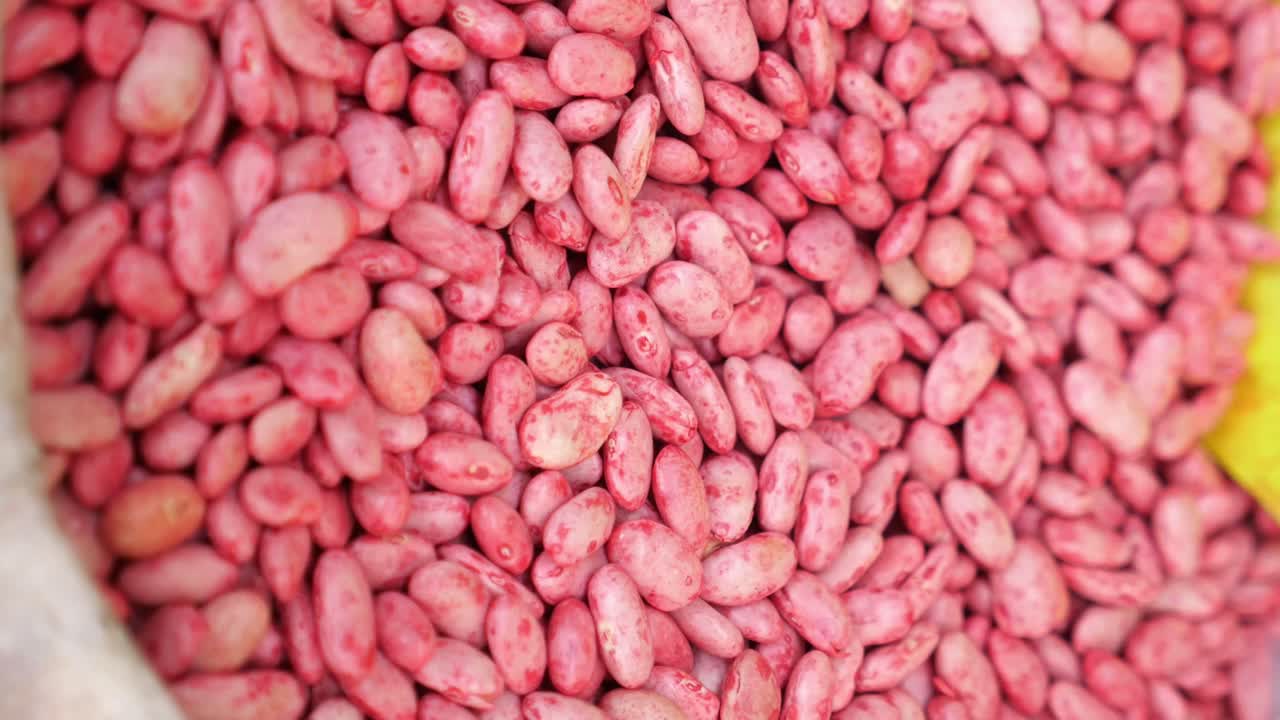 분홍색 콩 한 어리