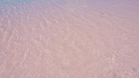 gentle crystal clear waves lapping onto sandy shoreline of famous pink beach on komodo island on flores island of indonesia