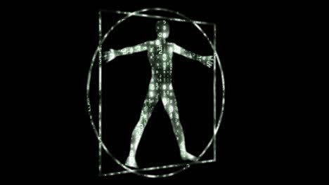 vitruvian man data array silhouette.