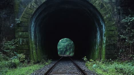 a train going through a tunnel in the middle of a forest