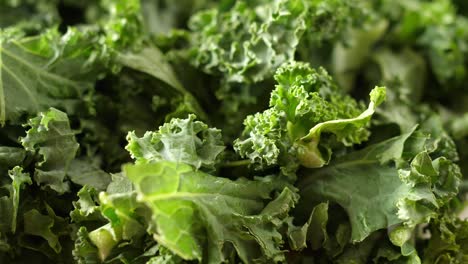 curly kale fresh green leaves rotating turning rund macro closeup