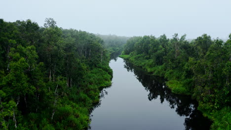 serene river winding through lush tropical forest